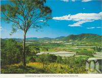 <span class="caption-caption">Overlooking the sugar cane fields from Sarina Range Lookout, Sarina</span>, c1976. <br />Postcard folder by <span class="caption-publisher">Murray Views Pty Ltd</span>, collection of <span class="caption-contributor">Centre for the Government of Queensland</span>.