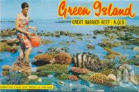 <span class="caption-caption">Collecting coral and shells on the reef</span>, c1960. <br />Postcard folder by <span class="caption-publisher">Murray Views Pty Ltd</span>, collection of <span class="caption-contributor">Centre for the Government of Queensland</span>.