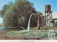 <span class="caption-caption">Artesian Bore, Charleville</span>, c1980. <br />Postcard folder by <span class="caption-publisher">Murray Views Pty Ltd</span>, collection of <span class="caption-contributor">Centre for the Government of Queensland</span>.