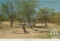 <span class="caption-caption">Bore head, Winton</span>, c1960. <br />Postcard folder by <span class="caption-publisher">Murray Views Pty Ltd</span>, collection of <span class="caption-contributor">Centre for the Government of Queensland MS</span>.