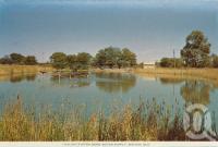 <span class="caption-caption">Cooling system, bore water supply, Winton</span>, c1960. <br />Postcard folder by <span class="caption-publisher">Murray Views Pty Ltd</span>, collection of <span class="caption-contributor">Centre for the Government of Queensland MS</span>.
