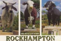 <span class="caption-caption">Big bull country, Rockhampton</span>, c1988. <br />Postcard by <span class="caption-publisher">Murray Views Pty Ltd</span>, collection of <span class="caption-contributor">Centre for the Government of Queensland</span>.