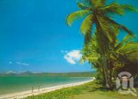 <span class="caption-caption">Newell Beach, Mossman</span>, 1989. <br />Postcard by <span class="caption-publisher">Peer Productions</span>, collection of <span class="caption-contributor">Centre for the Government of Queensland</span>.