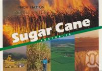 <span class="caption-caption">Sugar cane, Pioneer Valley</span>, c1998. <br />Postcard by <span class="caption-publisher">Murray Views Pty Ltd</span>, collection of <span class="caption-contributor">Centre for the Government of Queensland</span>.