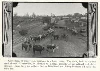 <span class="caption-caption">Caboolture station yard</span>. <br />From <span class="caption-book">Tours on the North Coast</span>, <span class="caption-publisher">Queensland Railways</span>, date unknown, collection of <span class="caption-contributor">Fryer Library, UQ</span>.