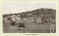 <span class="caption-caption">A view of Blackstone</span>. <br />From <span class="caption-book">Views of Ipswich</span>, <span class="caption-publisher">Horsleys Ltd</span>, 1910, collection of <span class="caption-contributor">Fryer Library, UQ</span>.