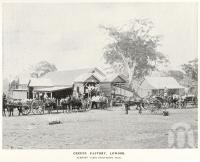 <span class="caption-caption">Cheese factory, Lowood</span>. <br />From <span class="caption-book">A Queenly Colony</span>, <span class="caption-publisher">Government Printer</span>, 1901, collection of <span class="caption-contributor">Fryer Library, UQ</span>.