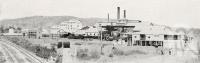 <span class="caption-caption">Plane Creek Mill and Power Alcohol Works, Sarina</span>. <br />From <span class="caption-book">The Mackay District</span>, <span class="caption-publisher">Queensland Government Intelligence and Tourist Bureau</span>, 1929, collection of <span class="caption-contributor">Fryer Library, UQ</span>.