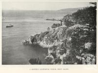 <span class="caption-caption">A monthly lighthouse visitor, Percy Island</span>. <br />From <span class="caption-book">North Queensland, Australia</span>, <span class="caption-publisher">Queensland Government Intelligence and Tourist Bureau</span>, 1908, collection of <span class="caption-contributor">Fryer Library, UQ</span>.