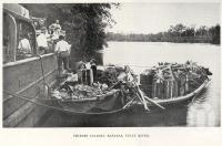 <span class="caption-caption">Chinese loading bananas, Tully River</span>. <br />From <span class="caption-book">North Queensland, Australia</span>, <span class="caption-publisher">Queensland Government Intelligence and Tourist Bureau</span>, 1908, collection of <span class="caption-contributor">Fryer Library, UQ</span>.