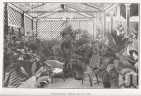 <span class="caption-caption">Bush-house, Hotel Delta, Ayr</span>. <br />From <span class="caption-book">North Queensland</span>, <span class="caption-publisher">Government Printer</span>, 1920, collection of <span class="caption-contributor">Fryer Library, UQ</span>.