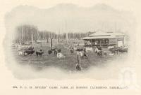 <span class="caption-caption">Dairy farm at Kureen (Atherton Tableland)</span>. <br />From <span class="caption-book">Tablelands of North Queensland</span>, <span class="caption-publisher">Queensland Government Intelligence and Tourist Bureau</span>, 1918, collection of <span class="caption-contributor">Fryer Library, UQ</span>.
