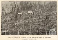 <span class="caption-caption">Scrub clearing by burning, Malanda (Atherton Tableland)</span>. <br />From <span class="caption-book">Tablelands of North Queensland</span>, <span class="caption-publisher">Queensland Government Intelligence and Tourist Bureau</span>, 1918, collection of <span class="caption-contributor">Fryer Library, UQ</span>.
