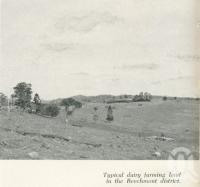 <span class="caption-caption">Dairy farming land in the Beechmont district</span>. <br />From <span class="caption-book">Gold Coast: The story of the Gold Coast of Queensland and Hinterland</span>, 1958, collection of <span class="caption-contributor">John Young</span>.