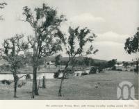 <span class="caption-caption">The picturesque Nerang River with Nerang township nestling among the trees</span>. <br />From <span class="caption-book">Gold Coast: The story of the Gold Coast of Queensland and Hinterland</span>, 1958, collection of <span class="caption-contributor">John Young</span>.