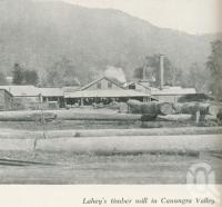 <span class="caption-caption">Lahey's timber mill in Canungra Valley</span>. <br />From <span class="caption-book">Gold Coast: The story of the Gold Coast of Queensland and Hinterland</span>, 1958, collection of <span class="caption-contributor">John Young</span>.