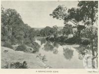 <span class="caption-caption">A Nerang River Scene</span>, 1937. <br />Booklet, collection of <span class="caption-contributor">John Young</span>.