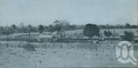 <span class="caption-caption">The tiny Petrie Station</span>, 1957. <br />Booklet, collection of <span class="caption-contributor">John Young</span>.