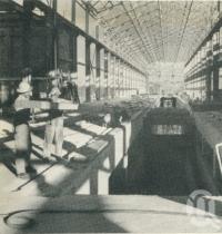 <span class="caption-caption">Growth of the big machine from bare foundations, Petrie Paper Mill</span>, 1957. <br />Booklet, collection of <span class="caption-contributor">John Young</span>.
