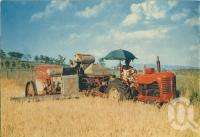 <span class="caption-caption">Barley harvesting on the Darling Downs</span>, 1950. <br />Booklet, collection of <span class="caption-contributor">John Young</span>.