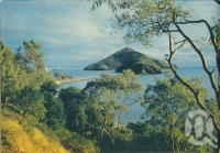 <span class="caption-caption">Path to Paddle Bay, South Molle Island</span>, 1950. <br />Booklet, collection of <span class="caption-contributor">John Young</span>.
