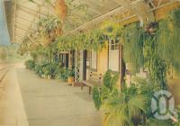 <span class="caption-caption">Kuranda Railway Station</span>, 1950. <br />Booklet, collection of <span class="caption-contributor">John Young</span>.