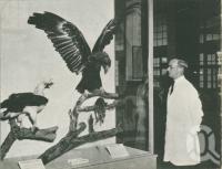 <span class="caption-caption">Museum, Bowen Hills</span>, 1949. <br />Booklet, collection of <span class="caption-contributor">John Young</span>.