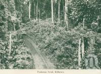 <span class="caption-caption">Toolamon scrub, Killarney</span>, c1925. <br />Booklet, collection of <span class="caption-contributor">John Young</span>.