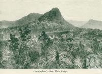 <span class="caption-caption">Cunningham's Gap, Main Range</span>, c1925. <br />Booklet, collection of <span class="caption-contributor">John Young</span>.
