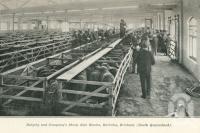 <span class="caption-caption">Dalgety and Company's Sheep Sale Rooms, Bulimba, Brisbane</span>. <br />From <span class="caption-book">Queensland Sheep and Wool Industry</span>, <span class="caption-creator">Queensland Government Intelligence and Tourist Bureau</span>, Brisbane, 1918, collection of <span class="caption-contributor">Centre for the Government of Queensland</span>.