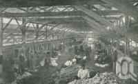 <span class="caption-caption">Tinnenburra Woolshed, Cunnamulla District - 40 shearers averaging 3800 sheep daily</span>. <br />From <span class="caption-book">Queensland Sheep and Wool Industry</span>, <span class="caption-creator">Queensland Government Intelligence and Tourist Bureau</span>, Brisbane, 1918, collection of <span class="caption-contributor">Centre for the Government of Queensland</span>.