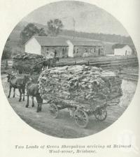 <span class="caption-caption">Two loads of green sheepskins arriving at Belmont Wool-scour, Brisbane</span>. <br />From <span class="caption-book">Queensland Sheep and Wool Industry</span>, <span class="caption-creator">Queensland Government Intelligence and Tourist Bureau</span>, Brisbane, 1918, collection of <span class="caption-contributor">Centre for the Government of Queensland</span>.