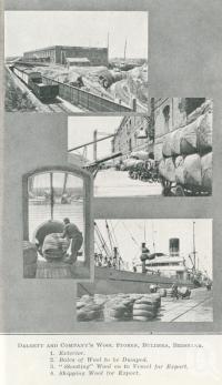 <span class="caption-caption">Dalgety and Company's Wool Stores, Bulimba, Brisbane</span>. <br />From <span class="caption-book">Queensland Sheep and Wool Industry</span>, <span class="caption-creator">Queensland Government Intelligence and Tourist Bureau</span>, Brisbane, 1918, collection of <span class="caption-contributor">Centre for the Government of Queensland</span>.