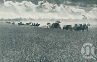 <span class="caption-caption">A typical scene on the Darling Downs, Queensland. Harvesting the golden grain in one of Australia's vast wheat areas</span>. <br />From <span class="caption-book">Queensland The Jewel of Australia</span>, <span class="caption-publisher">Sydney G Hughes</span>, Brisbane, c1933, collection of <span class="caption-contributor">Centre for the Government of Queensland</span>.
