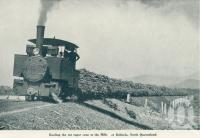 <span class="caption-caption">Hauling cut cane to the mills at Babinda</span>. <br />From <span class="caption-book">Queensland The Jewel of Australia</span>, <span class="caption-publisher">Sydney G Hughes</span>, Brisbane, c1933, collection of <span class="caption-contributor">Centre for the Government of Queensland</span>.