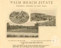 <span class="caption-caption">Palm Beach Estate</span>. <br />From <span class="caption-book">The Simbel Souvenir of the Glorious South Coast</span>, <span class="caption-publisher">The Read Press</span>, Brisbane, c1926, collection of <span class="caption-contributor">Centre for the Government of Queensland</span>.
