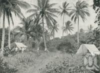 <span class="caption-caption">Green Island</span>. <br />From <span class="caption-book">Queensland Journey</span>, <span class="caption-creator">C.B. Christensen</span>, <span class="caption-publisher">Queensland Government Tourist Bureau</span>, Brisbane, c1936, collection of <span class="caption-contributor">Centre for the Government of Queensland</span>.