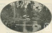 <span class="caption-caption">Creek scene, Ravenshoe</span>. <br />From <span class="caption-book">The Queen State</span>, <span class="caption-creator">D.C. Tilghman</span>, <span class="caption-publisher">John Mills</span>, Brisbane, 1933, collection of <span class="caption-contributor">Centre for the Government of Queensland</span>.