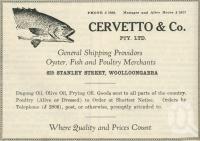 <span class="caption-caption">Cervetto & Co, Woolloongabba</span>. <br />From <span class="caption-book">The Queen State</span>, <span class="caption-creator">D.C. Tilghman</span>, <span class="caption-publisher">John Mills</span>, Brisbane, 1933, collection of <span class="caption-contributor">Centre for the Government of Queensland</span>.