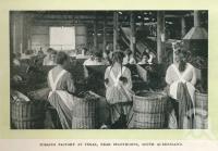 <span class="caption-caption">Tobacco factory at Texas, near Stanthorpe</span>. <br />From <span class="caption-book">Glimpses of Sunny Queensland (2nd edition)</span>, <span class="caption-creator">Queensland Government Intelligence and Tourist Bureau</span>, Brisbane, 1912, collection of <span class="caption-contributor">Centre for the Government of Queensland</span>.