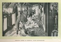 <span class="caption-caption">Shearing sheep at Jimbour</span>. <br />From <span class="caption-book">Glimpses of Sunny Queensland (2nd edition)</span>, <span class="caption-creator">Queensland Government Intelligence and Tourist Bureau</span>, Brisbane, 1912, collection of <span class="caption-contributor">Centre for the Government of Queensland</span>.