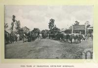 <span class="caption-caption">Wool teams at Charleville</span>. <br />From <span class="caption-book">Glimpses of Sunny Queensland (2nd edition)</span>, <span class="caption-creator">Queensland Government Intelligence and Tourist Bureau</span>, Brisbane, 1912, collection of <span class="caption-contributor">Centre for the Government of Queensland</span>.