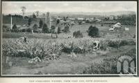 <span class="caption-caption">View overlooking Woombye</span>. <br />From <span class="caption-book">Glimpses of Sunny Queensland (3rd edition)</span>, <span class="caption-creator">Queensland Government Intelligence and Tourist Bureau</span>, Brisbane, 1914, collection of <span class="caption-contributor">Centre for the Government of Queensland</span>.