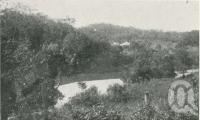 <span class="caption-caption">Street's coffee plantation, Kuranda</span>. <br />From <span class="caption-book">The Pocket Queensland</span>, <span class="caption-creator">Queensland Government Intelligence and Tourist Bureau</span>, Brisbane, 1921, collection of <span class="caption-contributor">Centre for the Government of Queensland</span>.
