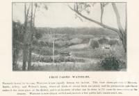 <span class="caption-caption">Fruit farms, Waterloo</span>. <br />From <span class="caption-book">The Burnett and Isis Pictorial</span>, <span class="caption-creator">Richards & Kingdon</span>, Bundaberg, 1927, collection of <span class="caption-contributor">Centre for the Government of Queensland</span>.