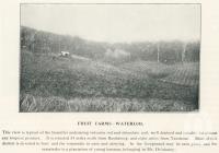 <span class="caption-caption">Fruit farms, Waterloo</span>. <br />From <span class="caption-book">The Burnett and Isis Pictorial</span>, <span class="caption-creator">Richards & Kingdon</span>, Bundaberg, 1927, collection of <span class="caption-contributor">Centre for the Government of Queensland</span>.
