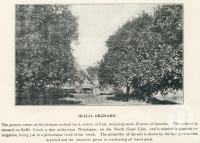 <span class="caption-caption">Idalia orchard</span>. <br />From <span class="caption-book">The Burnett and Isis Pictorial</span>, <span class="caption-creator">Richards & Kingdon</span>, Bundaberg, 1927, collection of <span class="caption-contributor">Centre for the Government of Queensland</span>.