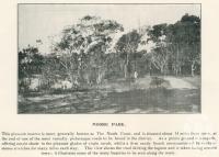 <span class="caption-caption">Moore Park</span>. <br />From <span class="caption-book">The Burnett and Isis Pictorial</span>, <span class="caption-creator">Richards & Kingdon</span>, Bundaberg, 1927, collection of <span class="caption-contributor">Centre for the Government of Queensland</span>.