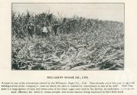 <span class="caption-caption">Millaquin Sugar Co Ltd</span>. <br />From <span class="caption-book">The Burnett and Isis Pictorial</span>, <span class="caption-creator">Richards & Kingdon</span>, Bundaberg, 1927, collection of <span class="caption-contributor">Centre for the Government of Queensland</span>.