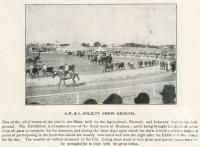 <span class="caption-caption">Agricultural, Pastoral and Industrial Society show ground, Gin Gin</span>. <br />From <span class="caption-book">The Burnett and Isis Pictorial</span>, <span class="caption-creator">Richards & Kingdon</span>, Bundaberg, 1927, collection of <span class="caption-contributor">Centre for the Government of Queensland</span>.